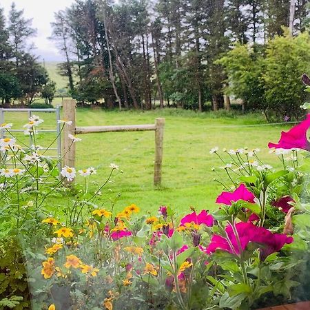 Glen Keen Farm Cottage Louisburgh Exterior foto