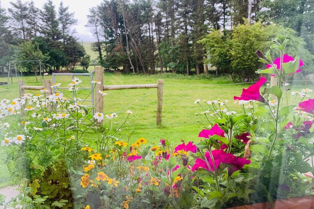 Glen Keen Farm Cottage Louisburgh Exterior foto